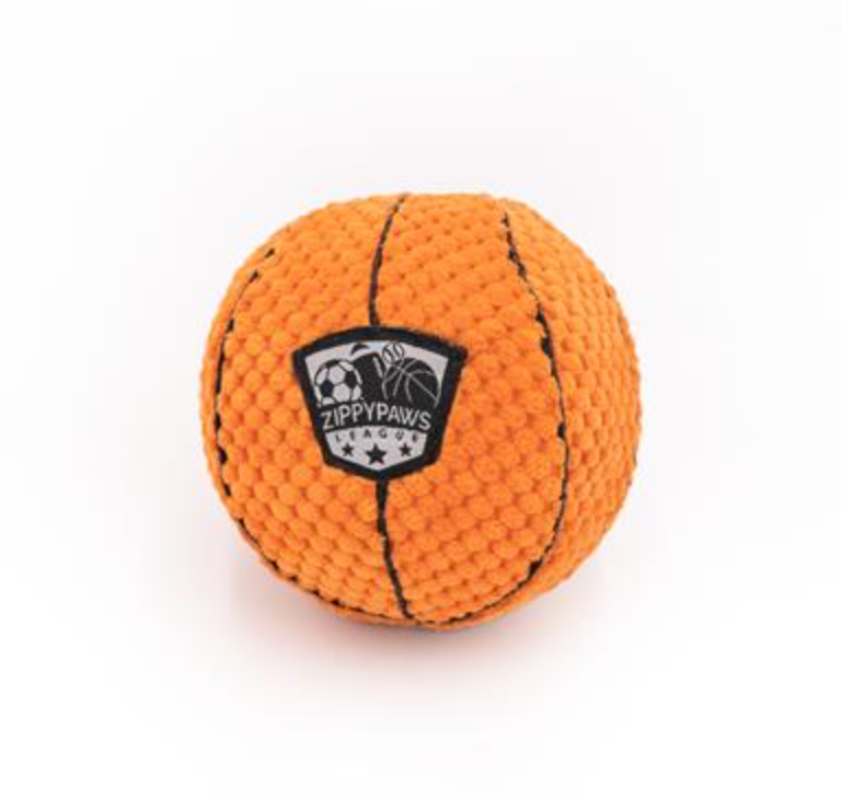 SportsBallz - Basketball