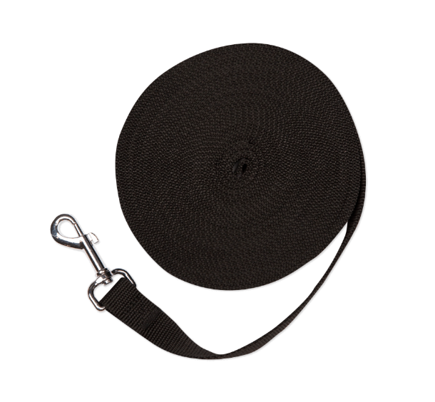 Long Lead Training Leash