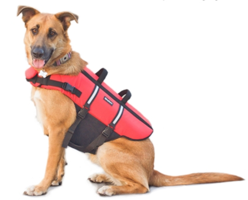 Life Jackets